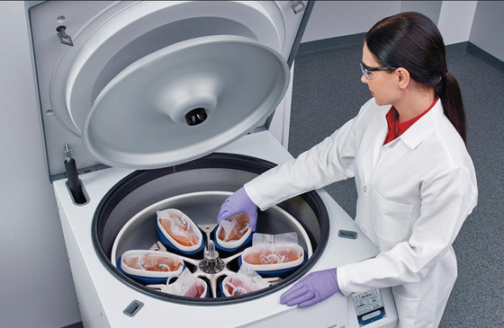 Un buen precio. Centrifugadora refrigerada bolso derecho 6×1000ml 6000rpm de la sangre del piso de CFL6R en línea